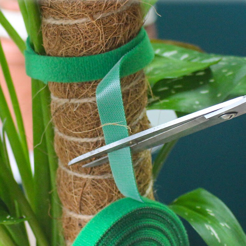 Self-Adhesive Velcro Cable Ties for Green Plants and Gardening