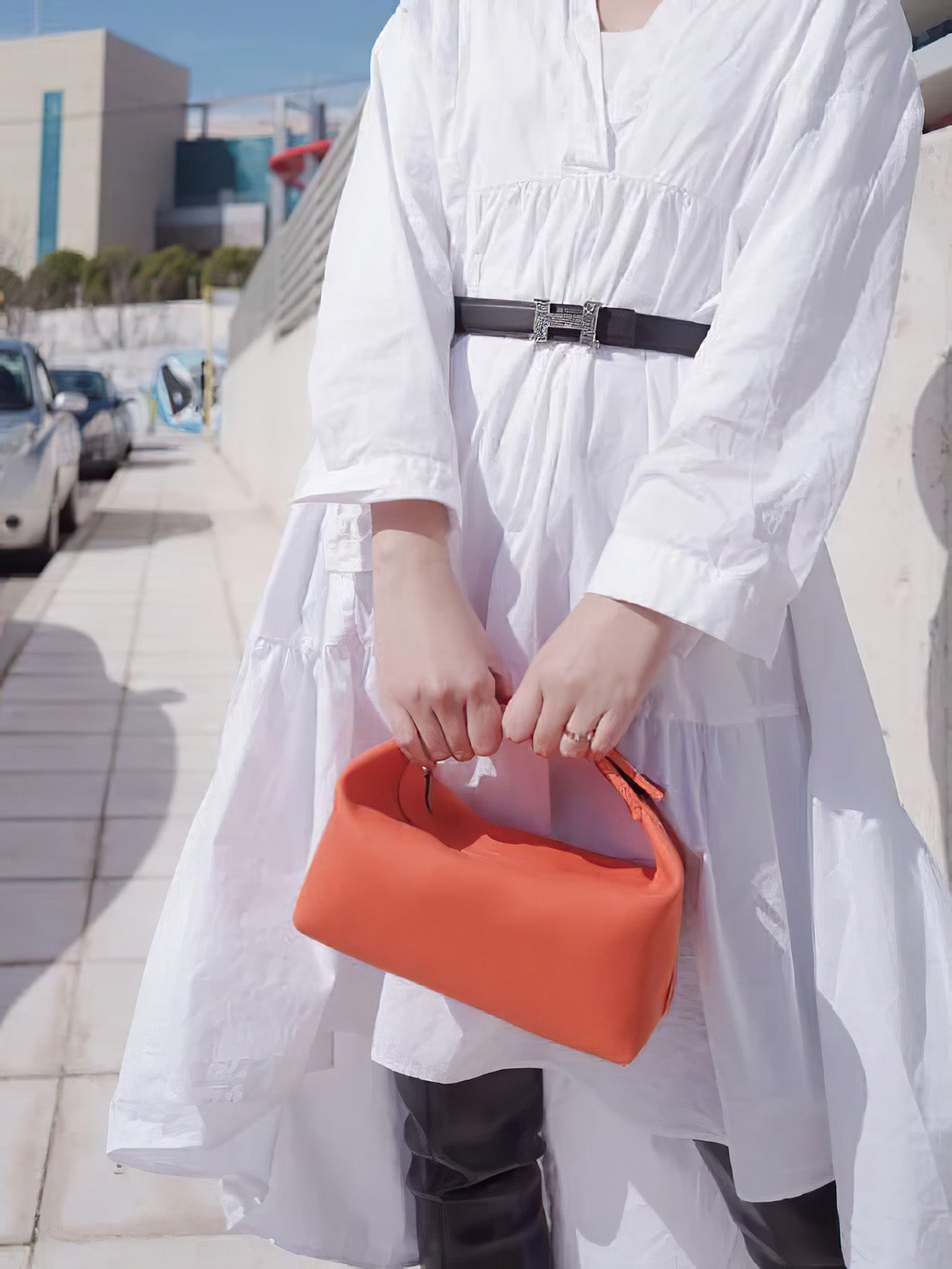 Stylish Canvas Lunch Tote Bag for Women - 6 Colours