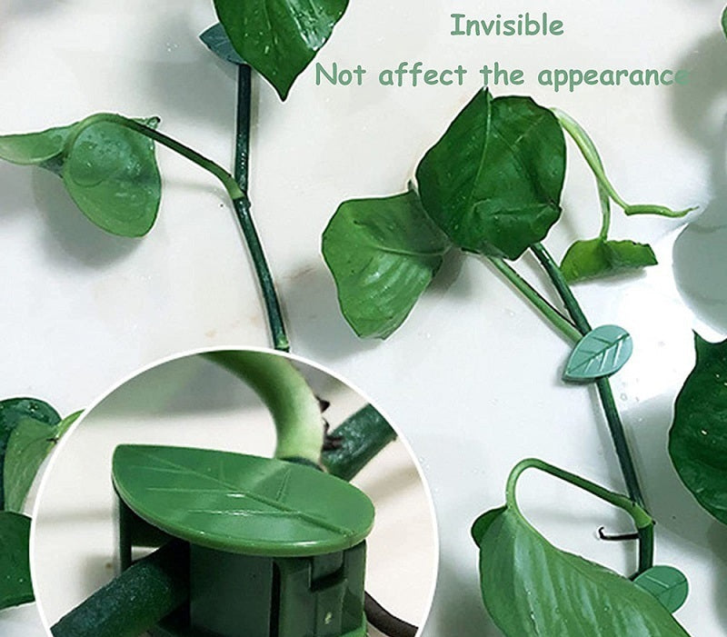 # Leaf-Shaped Invisible Plant Fixing Clip