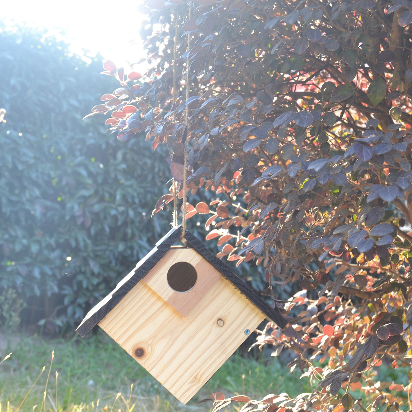 **Wooden Bird Nest Breeding Box**