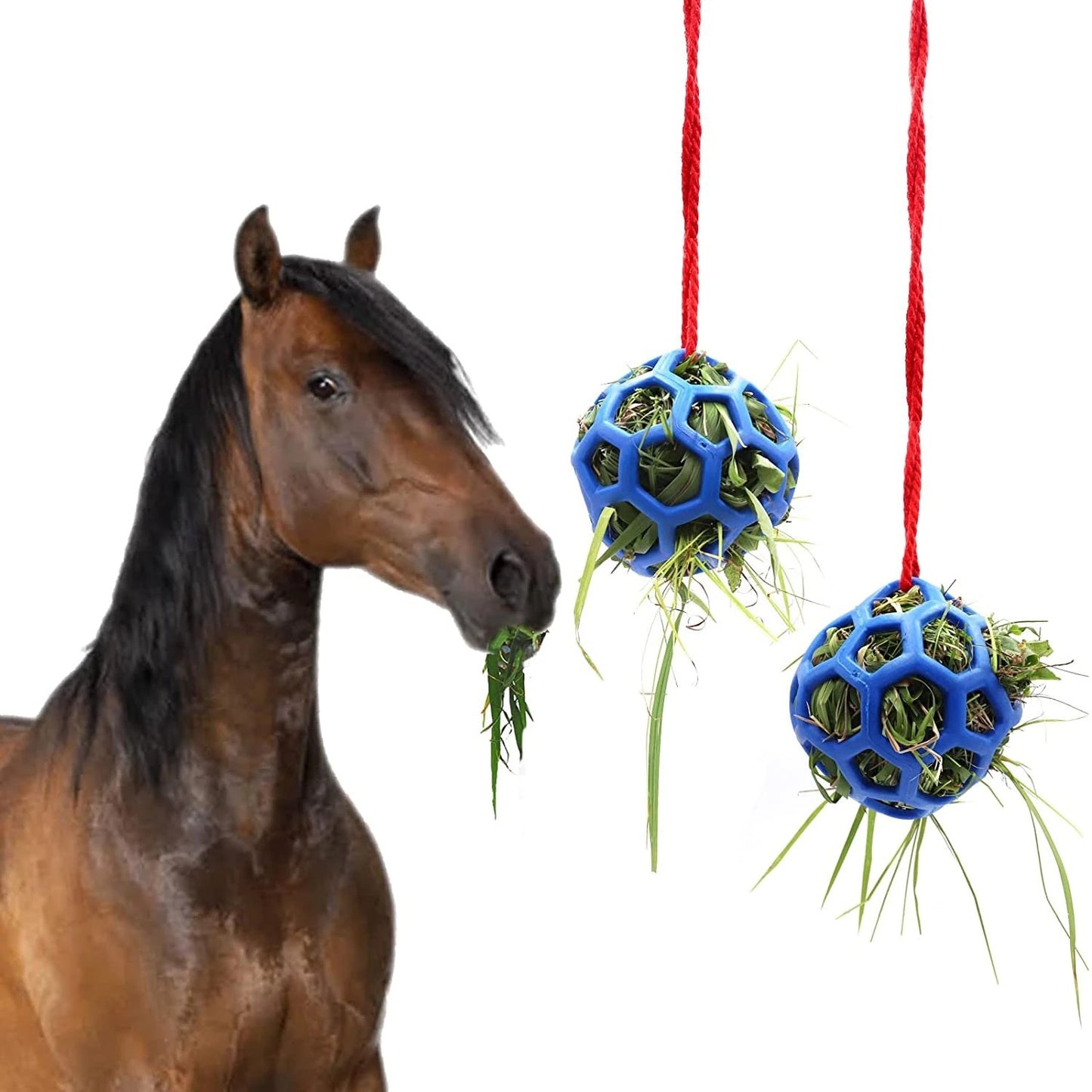 # Hanging Horse Feeding Toy Ball