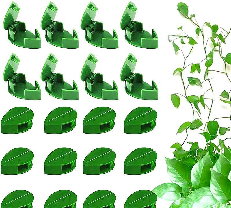 # Leaf-Shaped Invisible Plant Fixing Clip