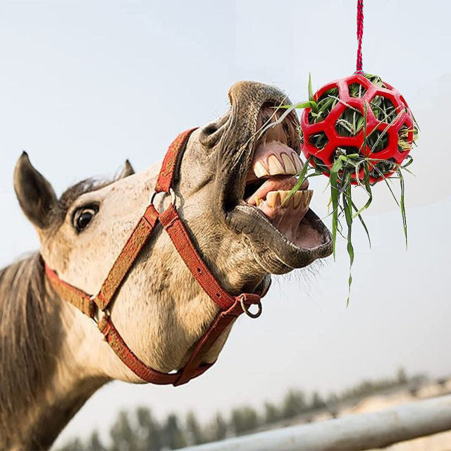 # Hanging Horse Feeding Toy Ball
