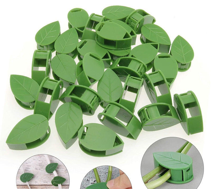 # Leaf-Shaped Invisible Plant Fixing Clip