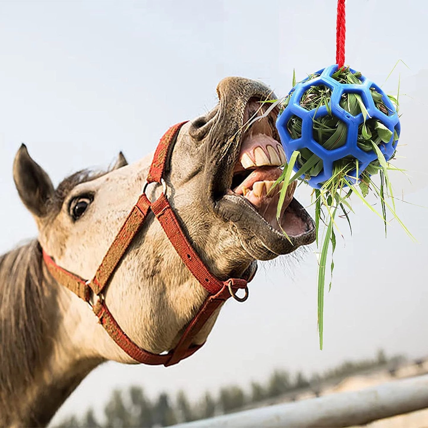# Hanging Horse Feeding Toy Ball