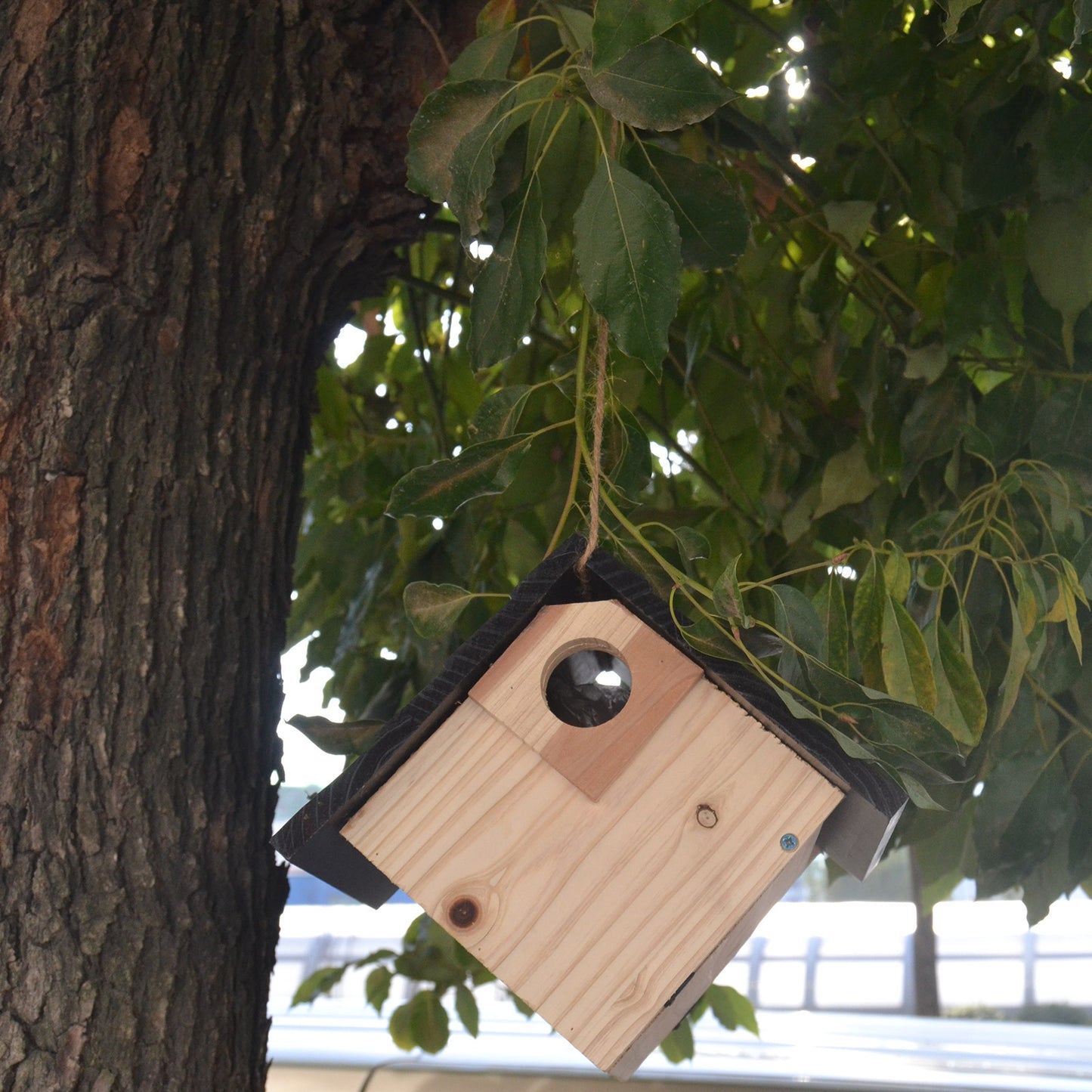 **Wooden Bird Nest Breeding Box**