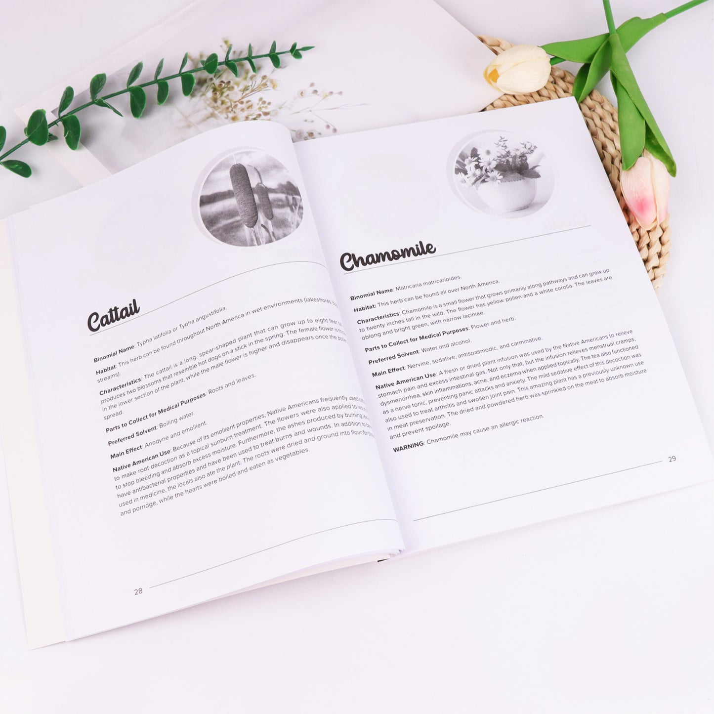 **Herbal and Natural Therapy Books**
