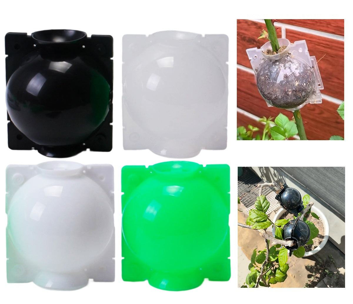 # Tree Air Layering Propagation Box