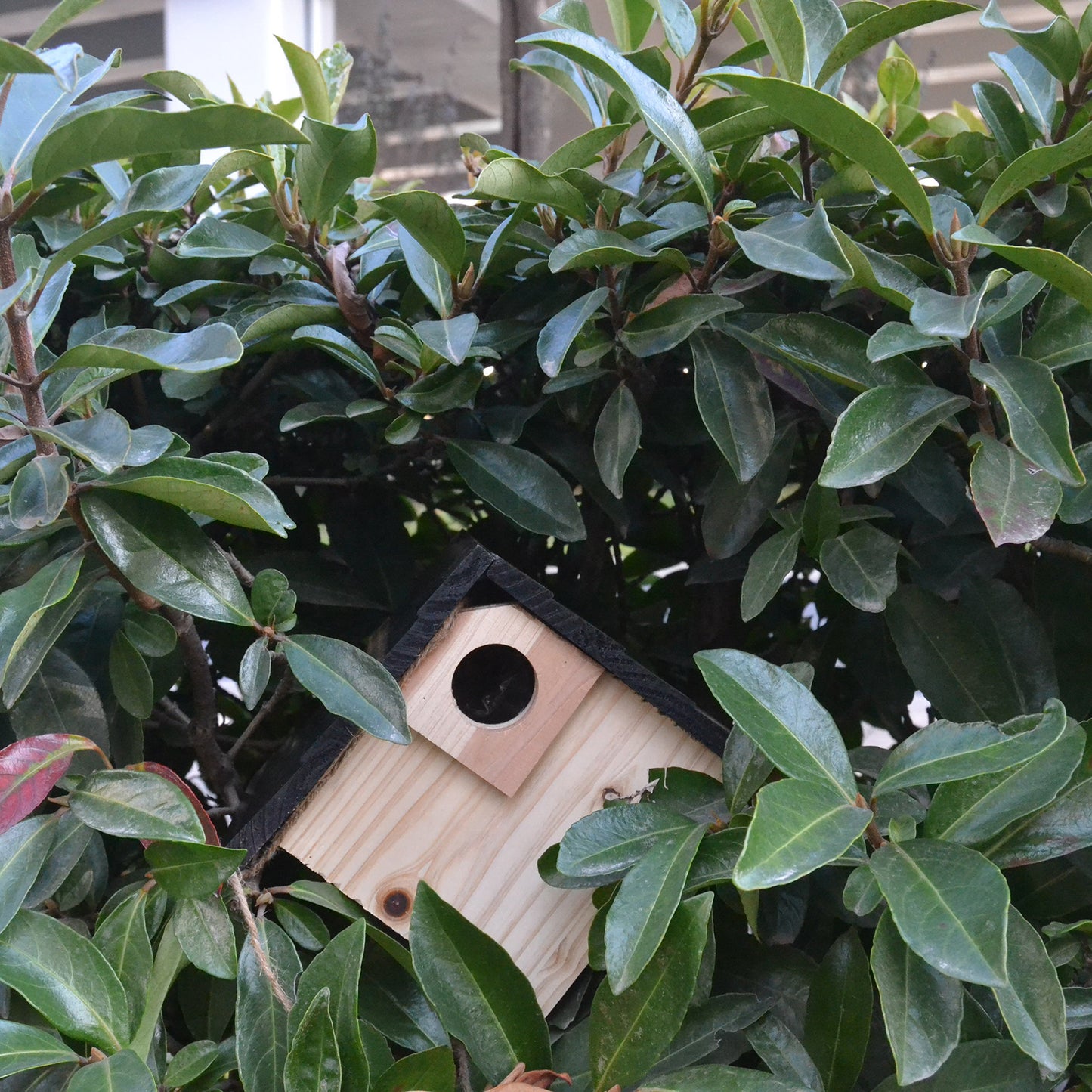 **Wooden Bird Nest Breeding Box**