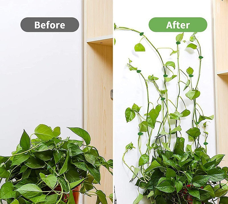 # Leaf-Shaped Invisible Plant Fixing Clip