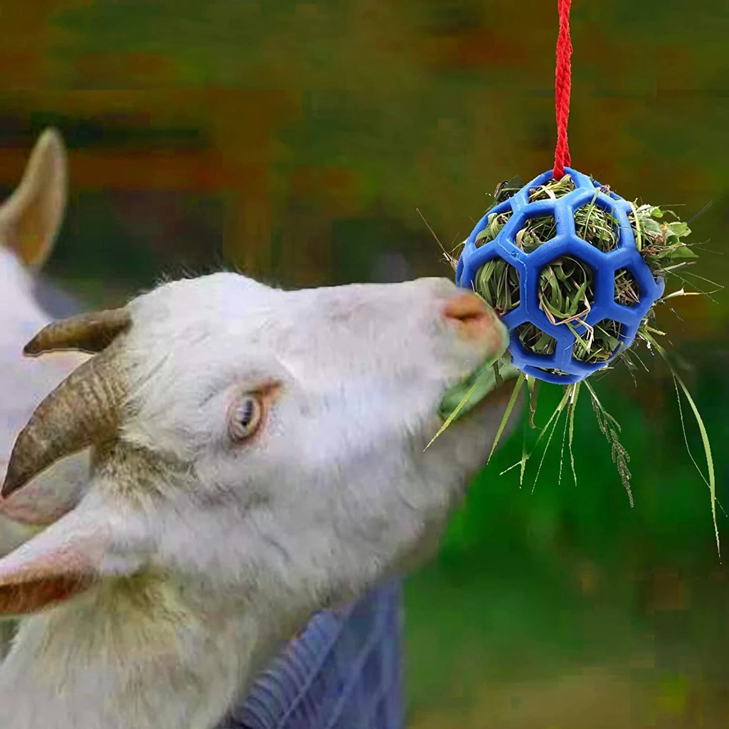# Hanging Horse Feeding Toy Ball