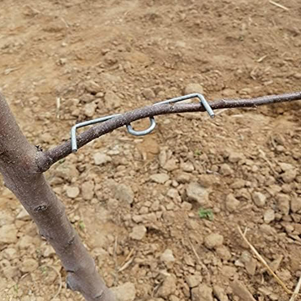 # M-Type Fruit Tree Branch Shaping Tool
