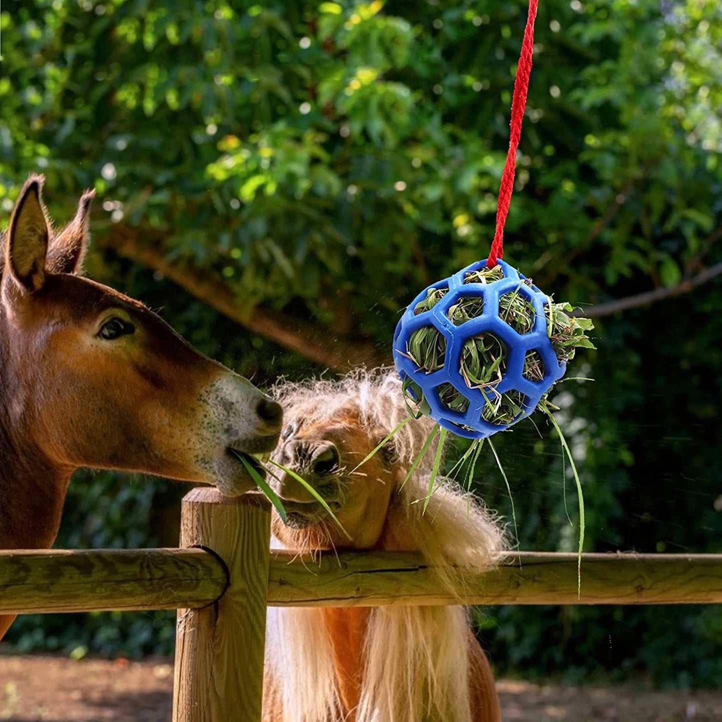 # Hanging Horse Feeding Toy Ball