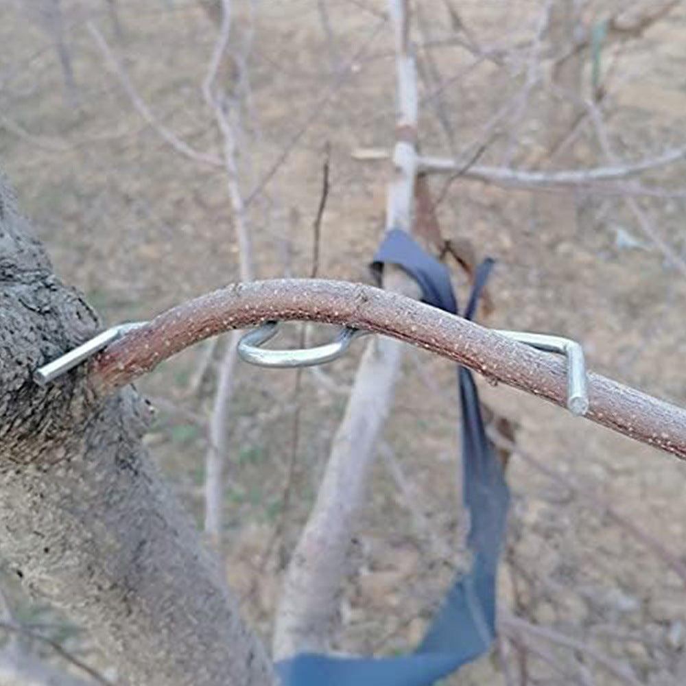 # M-Type Fruit Tree Branch Shaping Tool