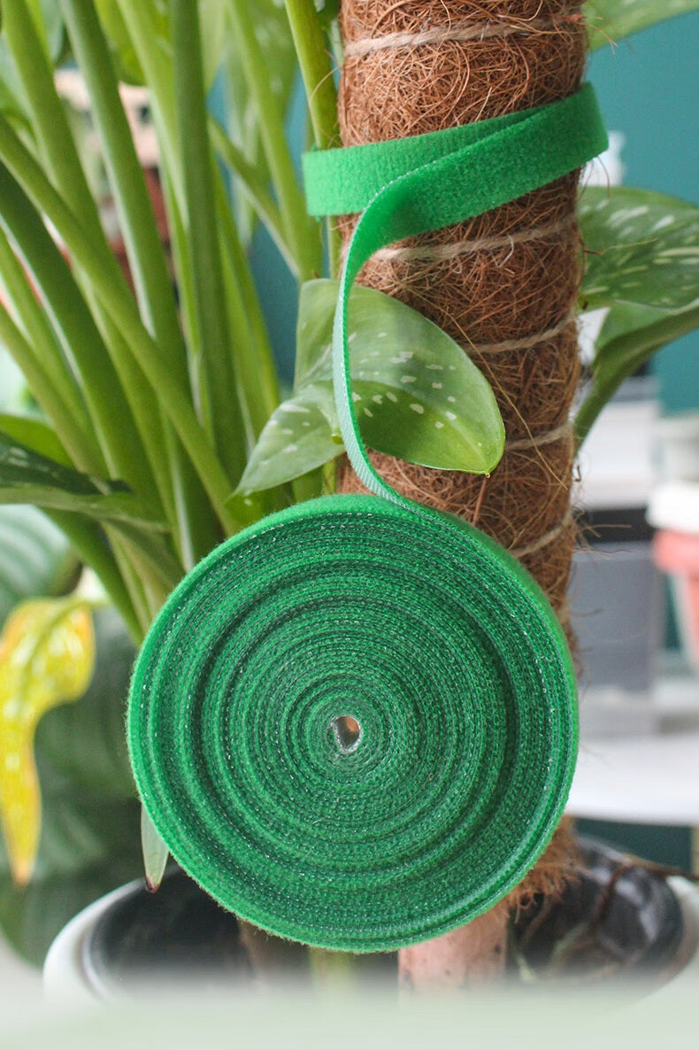 Self-Adhesive Velcro Cable Ties for Green Plants and Gardening