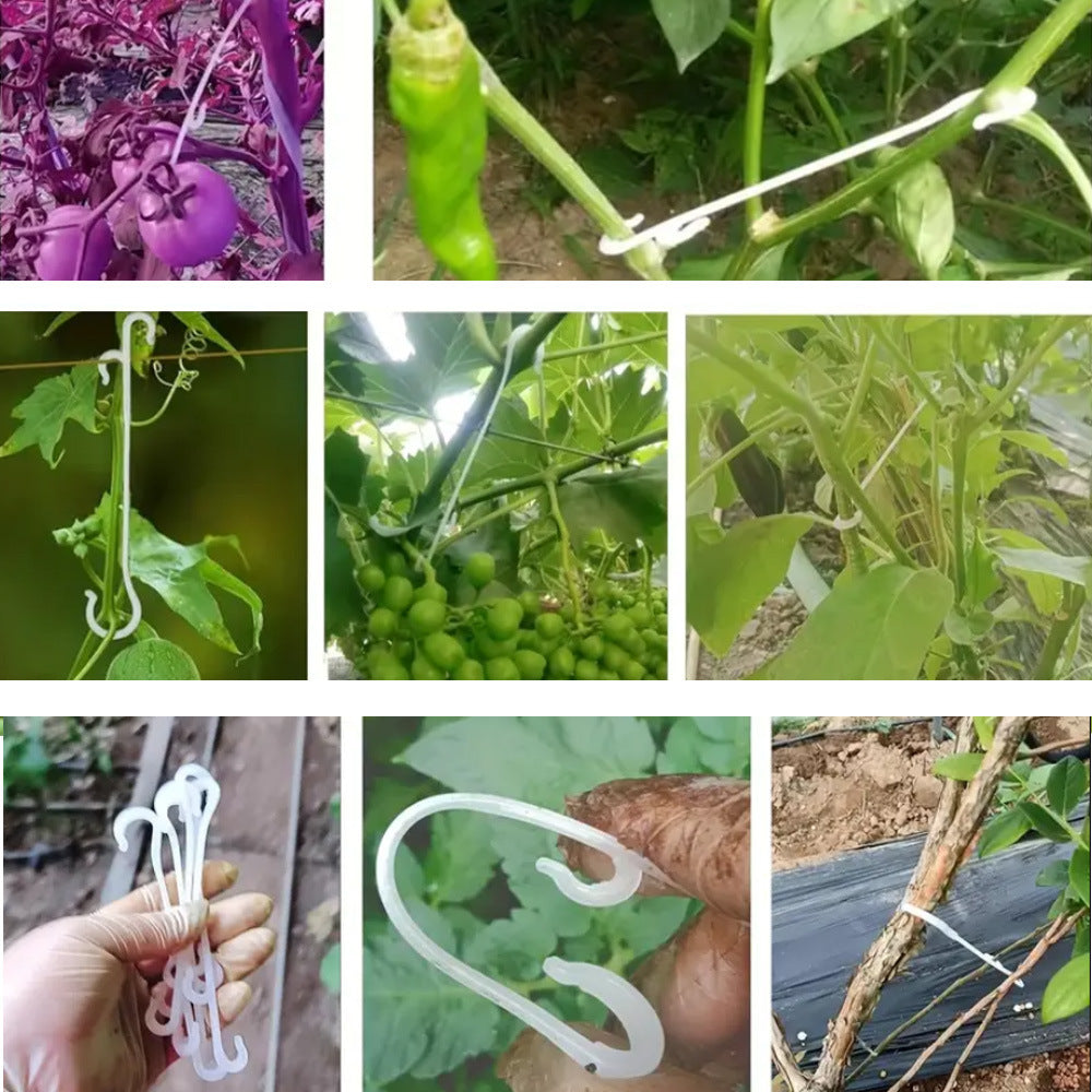 # J-shaped Plastic Climbing Plant Hooks 100PCS