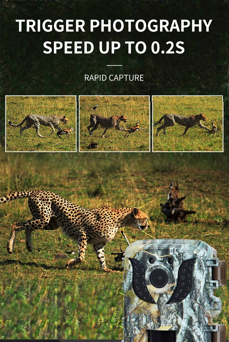 # High-Definition 1080P Infrared Hunting Camera