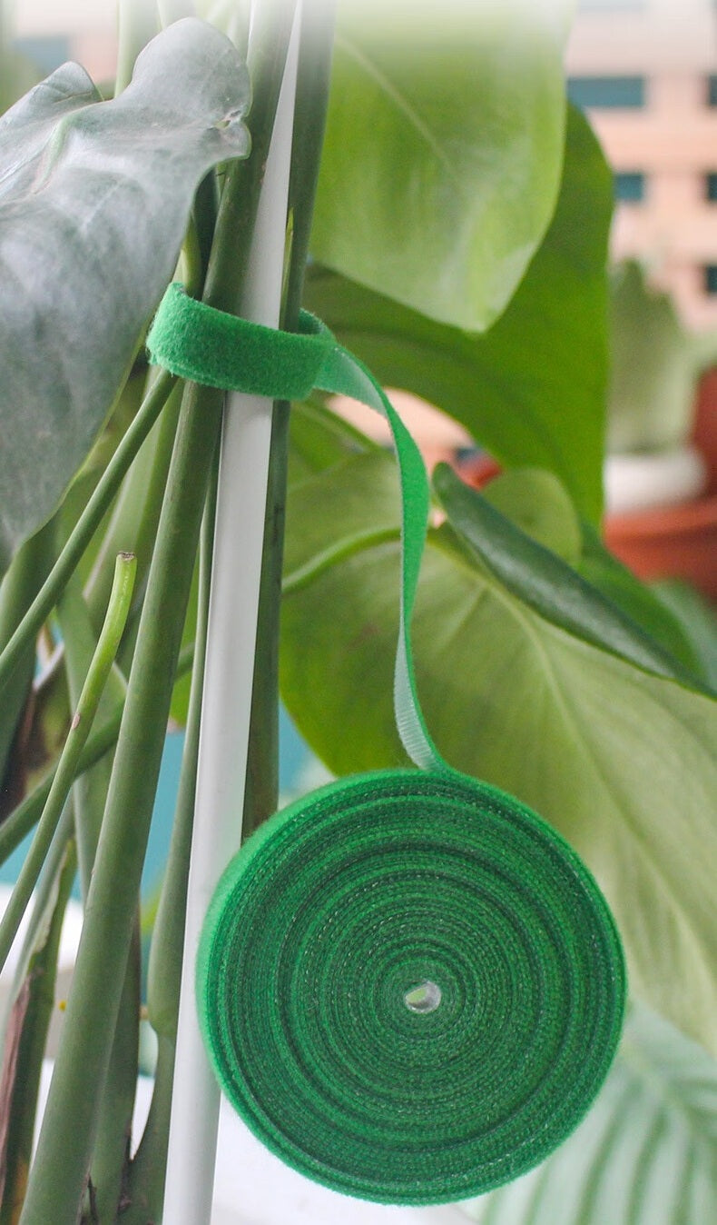 Self-Adhesive Velcro Cable Ties for Green Plants and Gardening
