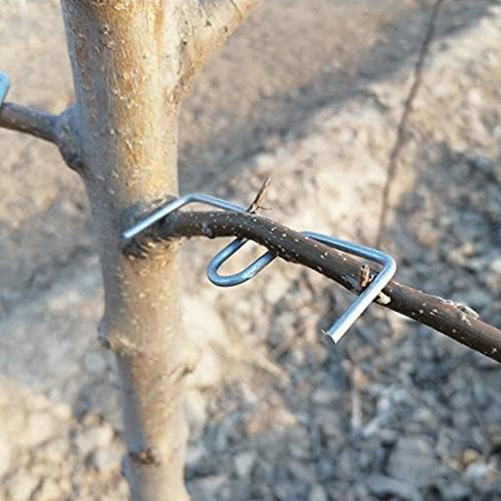 # M-Type Fruit Tree Branch Shaping Tool