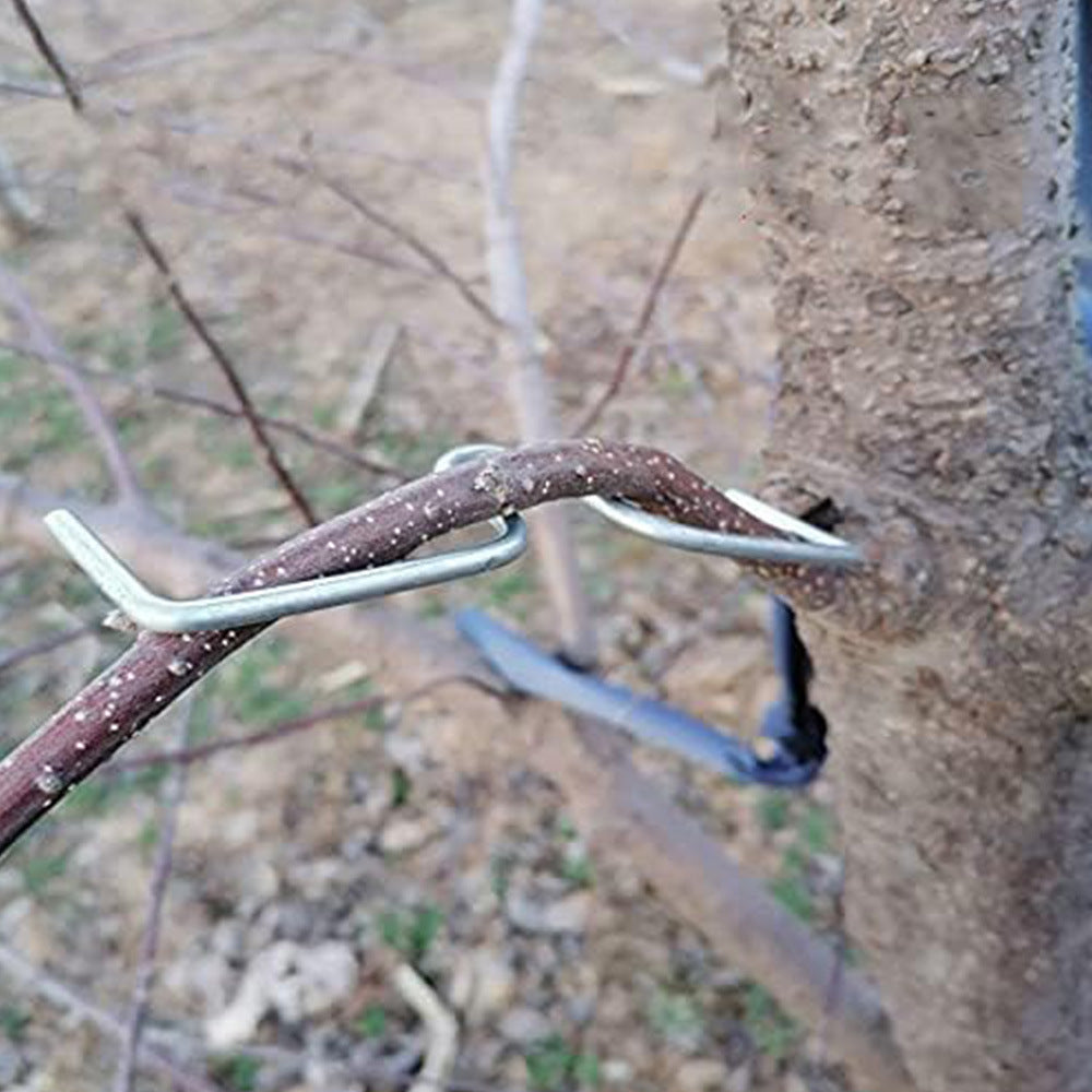 # M-Type Fruit Tree Branch Shaping Tool