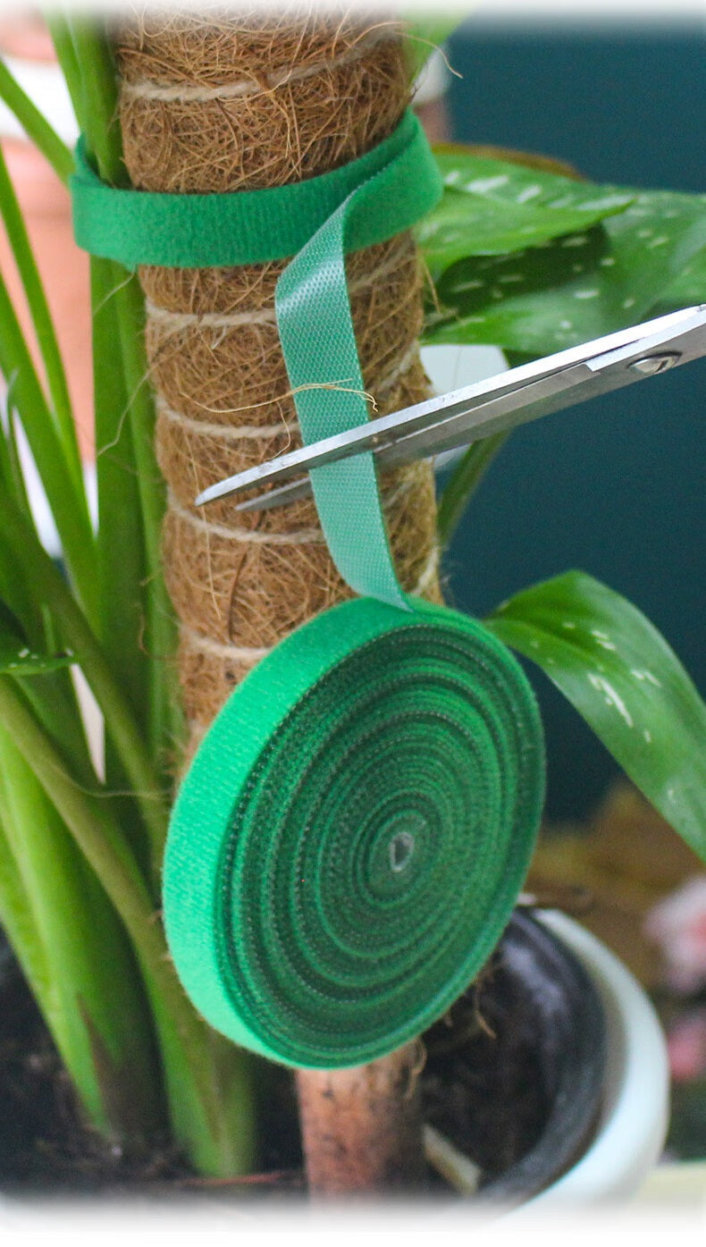 Self-Adhesive Velcro Cable Ties for Green Plants and Gardening