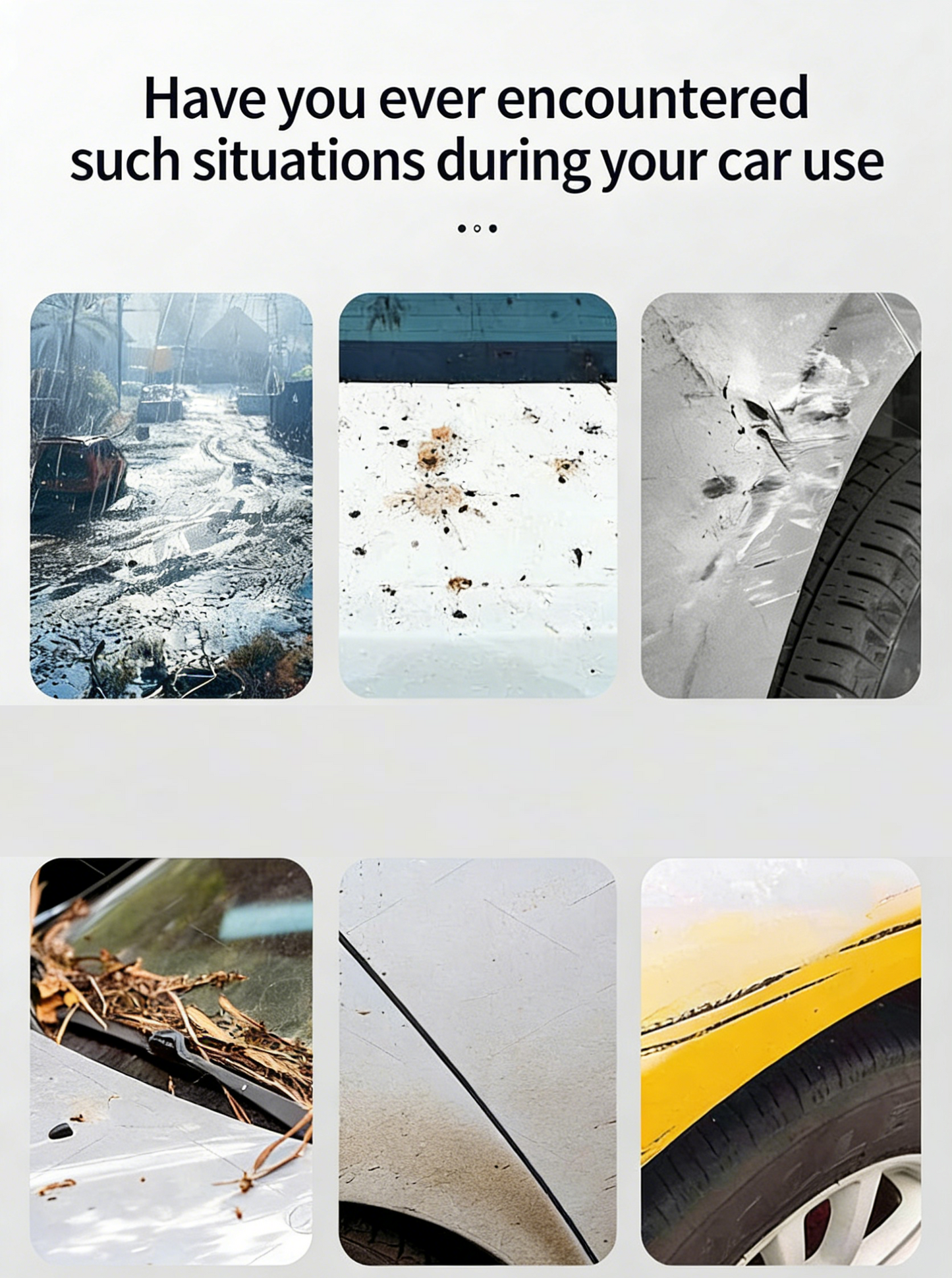 Disposable Car Cover