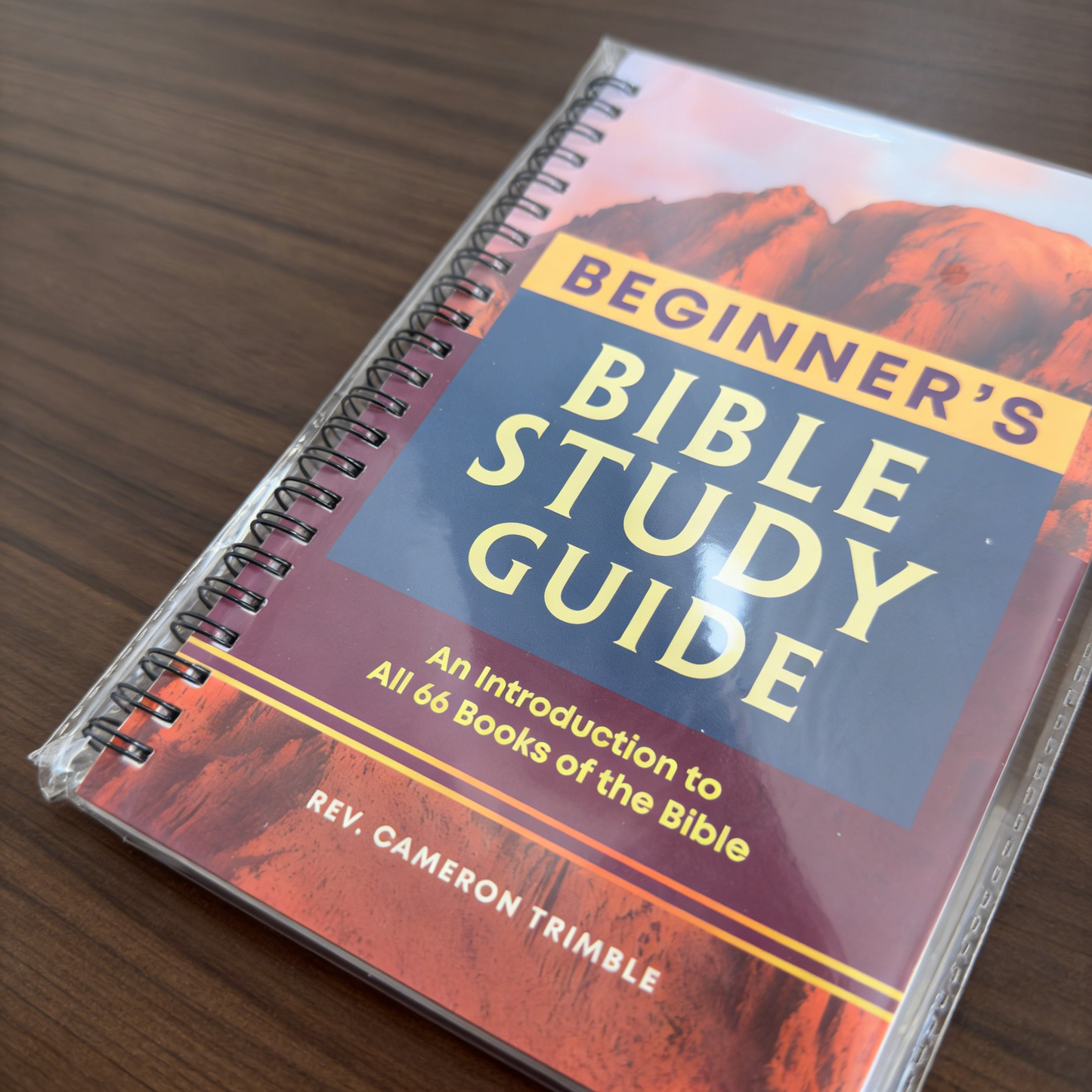 **BEGINNER'S BIBLE STUDY GUIDE**