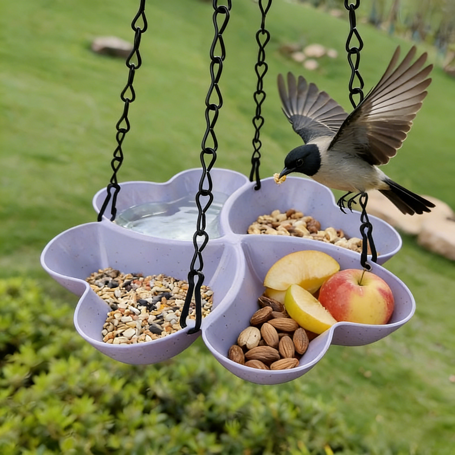 # Outdoor Hanging Bird Feeder (Dual-Purpose)