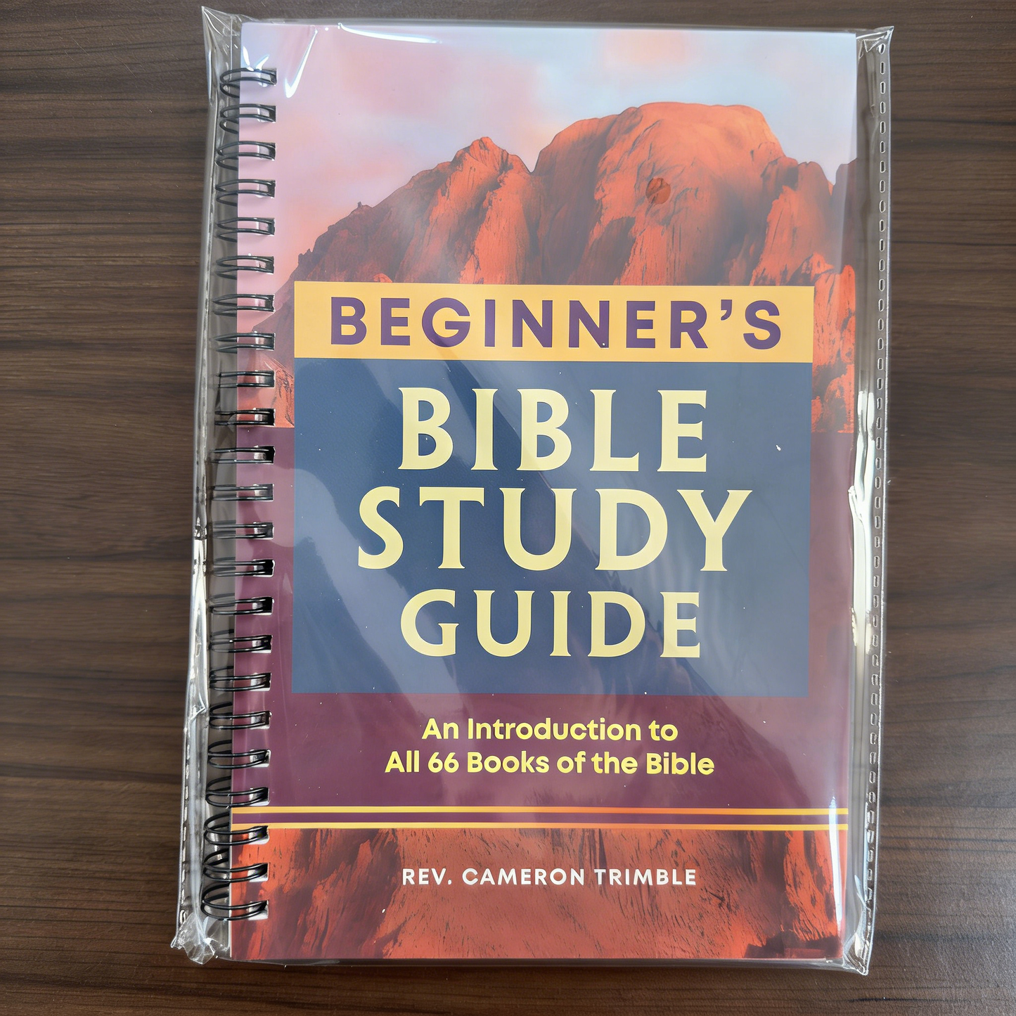 **BEGINNER'S BIBLE STUDY GUIDE**