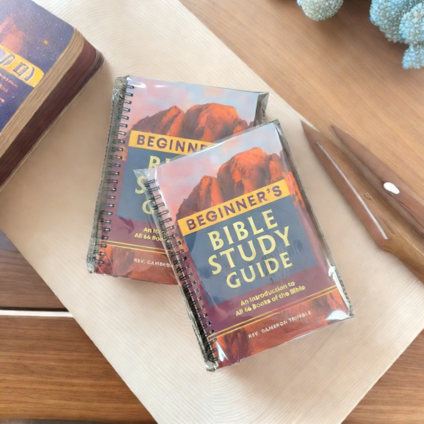**BEGINNER'S BIBLE STUDY GUIDE**