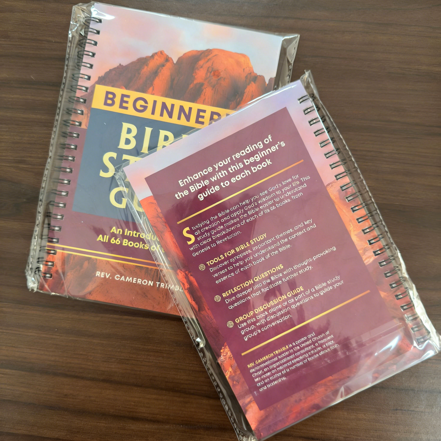**BEGINNER'S BIBLE STUDY GUIDE**