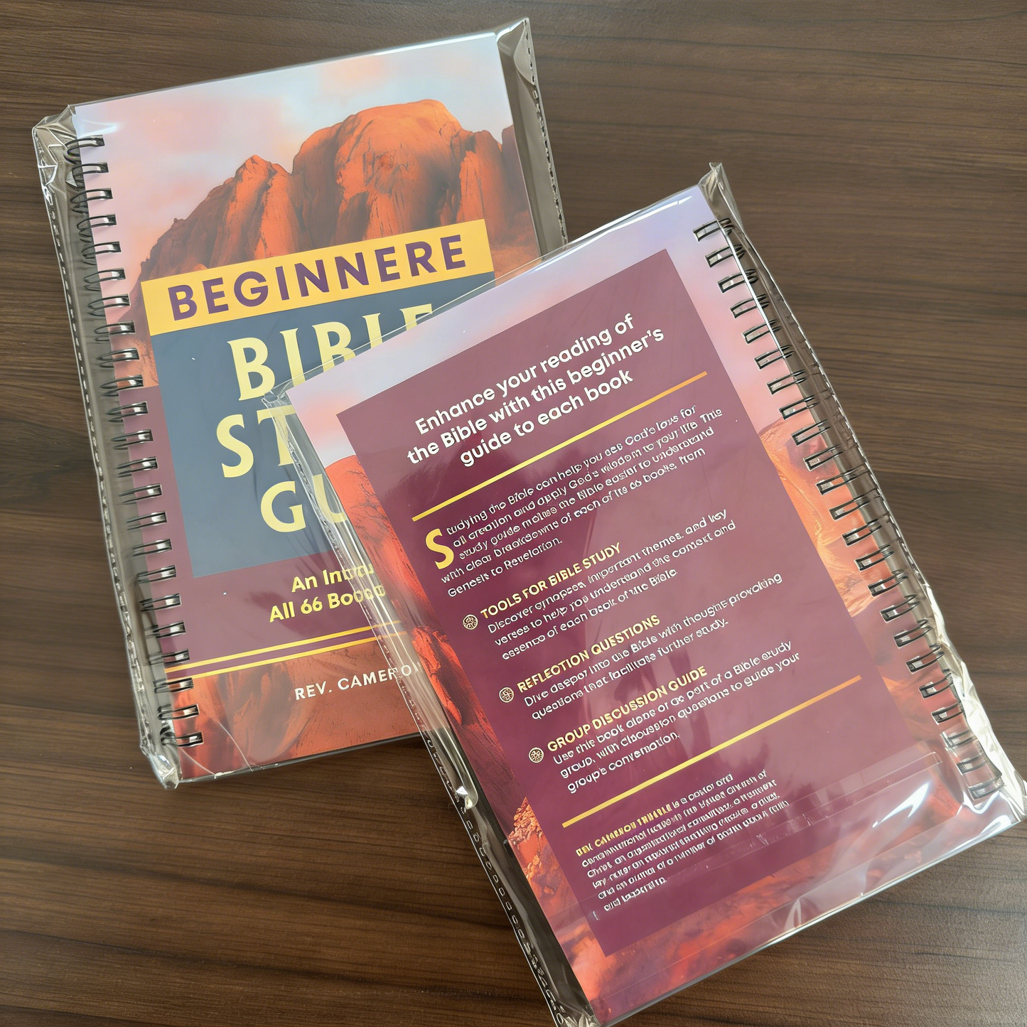 **BEGINNER'S BIBLE STUDY GUIDE**