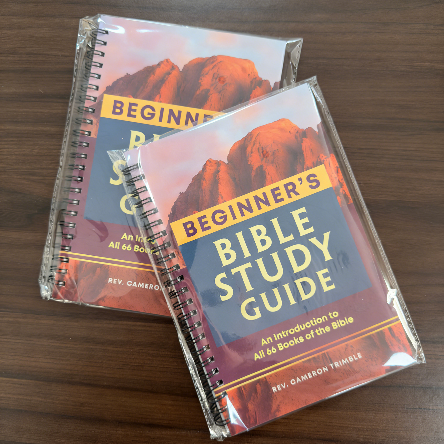 **BEGINNER'S BIBLE STUDY GUIDE**