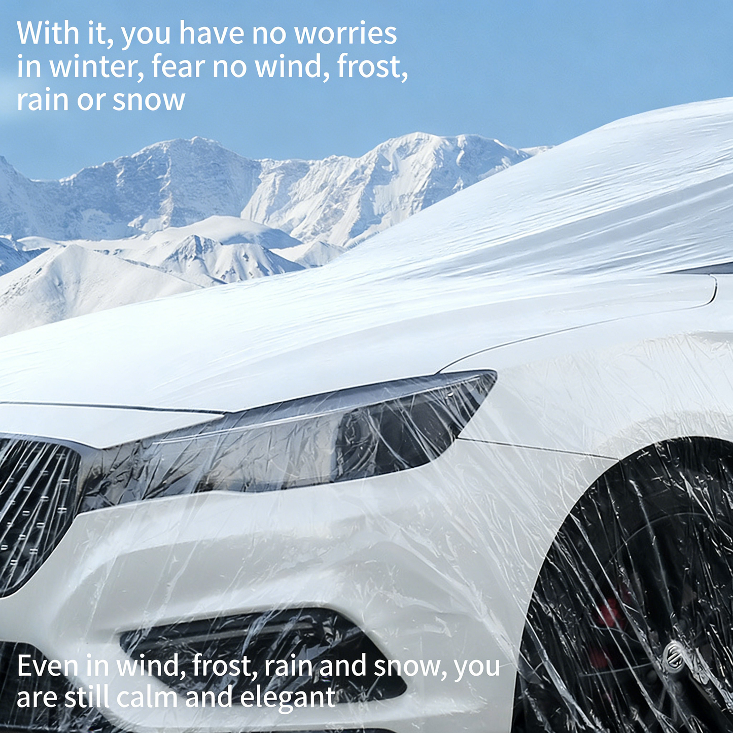 Disposable Car Cover